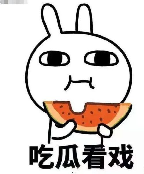 娱乐吃瓜君 猴哥,娱乐吃瓜君揭秘猴界风云